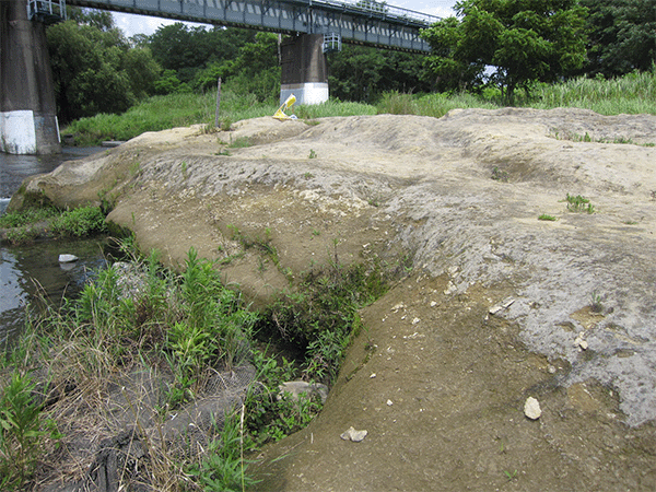 昭島クジラ出土地(第三鮮新世小宮層)
