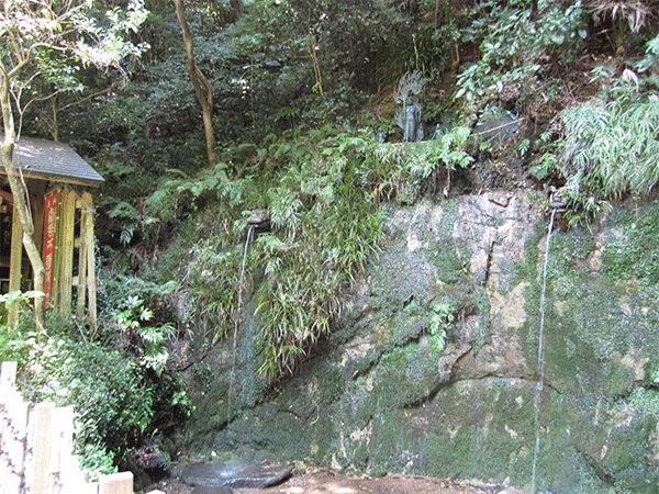 等々力不動尊(等々力渓谷の地層)