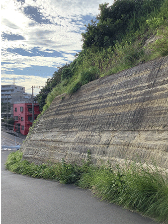 三浦層群池子層｜手広2丁目付近