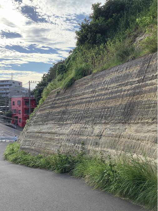 三浦層群池子層｜手広2丁目付近