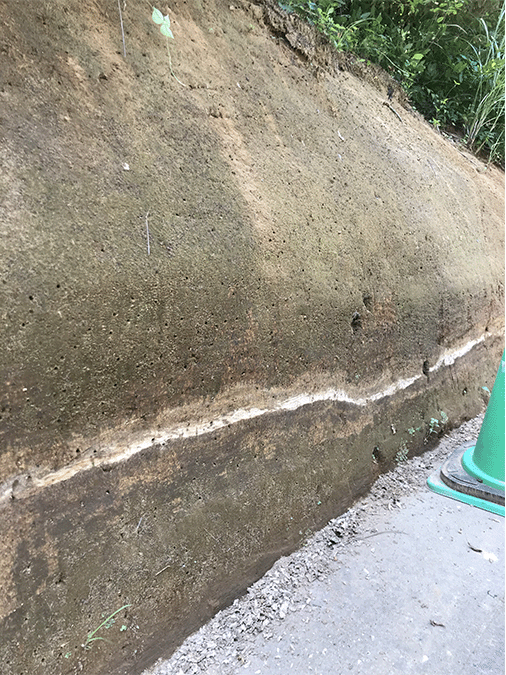 姶良Tn火山灰層(あつぎこどもの森公園)