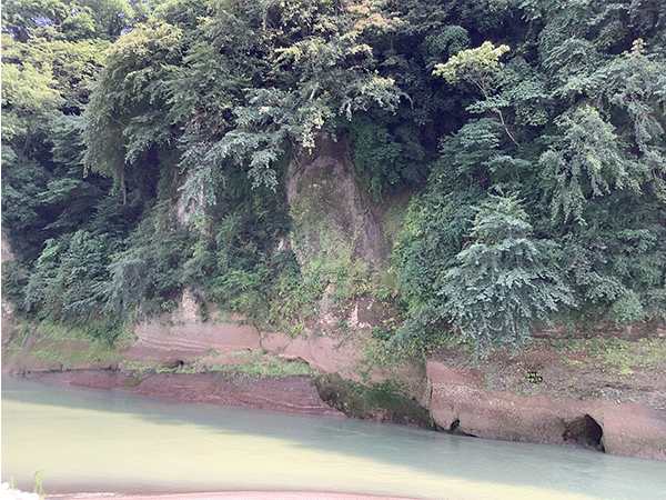 酒匂川の河岸