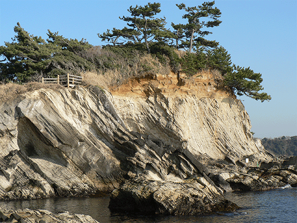 三崎層と関東ローム層の不整合
