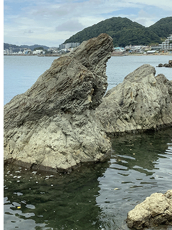 葉山層群森戸層