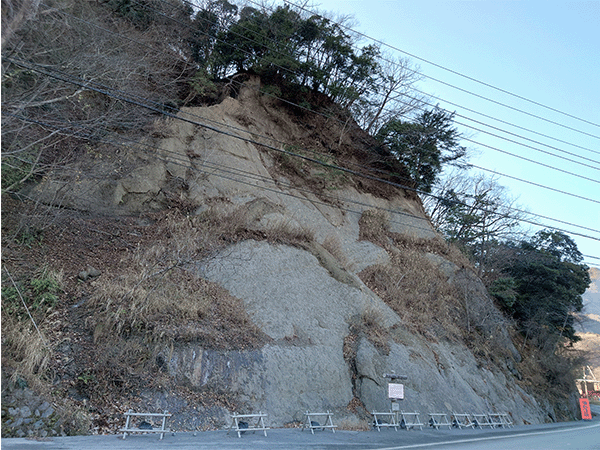 小原島の砂岩層(貝化石)