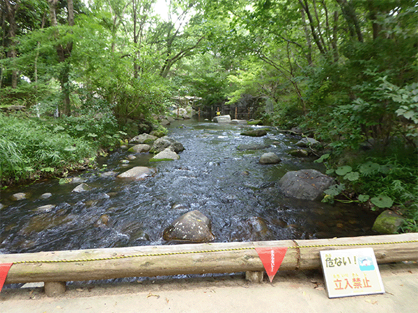 木曽川｜河川環境楽園