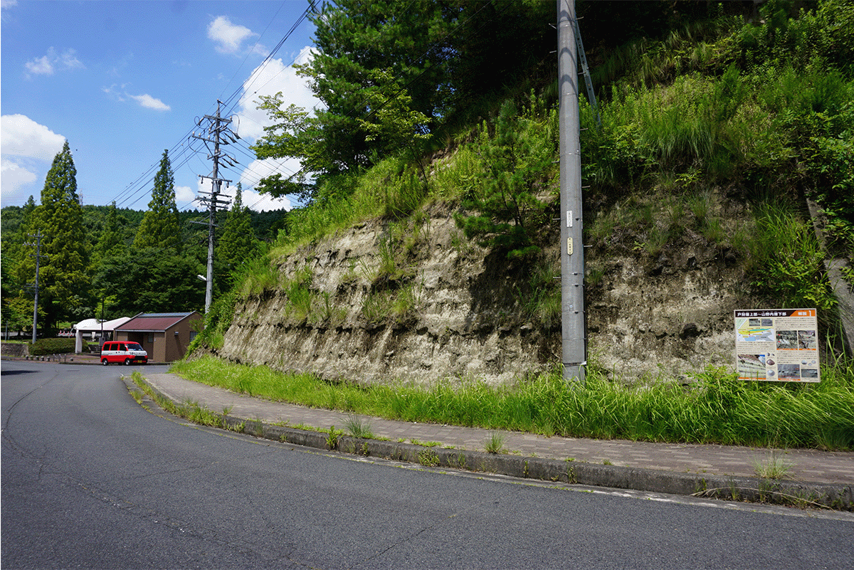 へそ山の砂岩層とノジュール