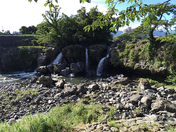 富士山の溶岩と溶岩樹形