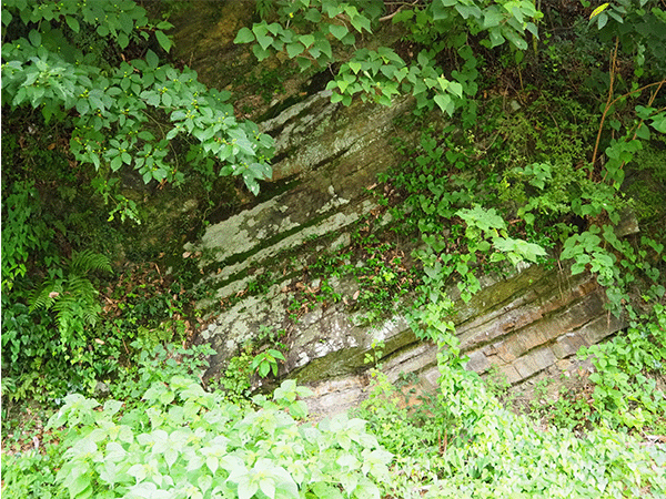 市の瀬バス停前の地層