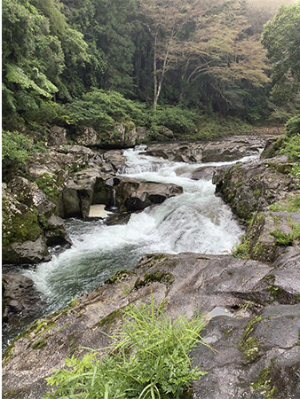 大千瀬川｜上流