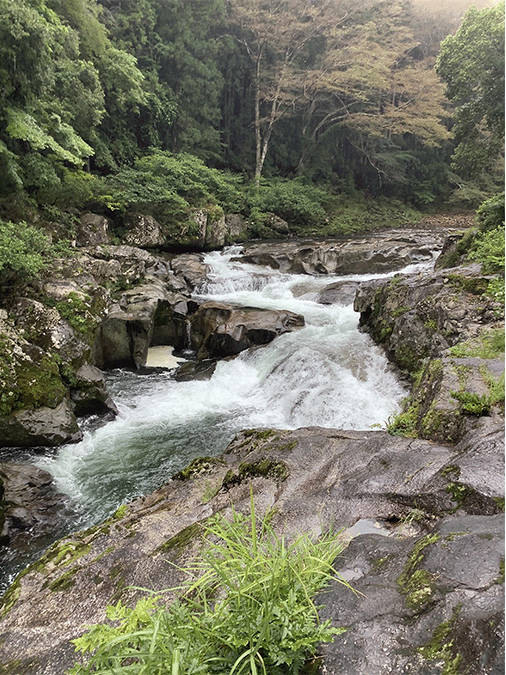 大千瀬川|上流