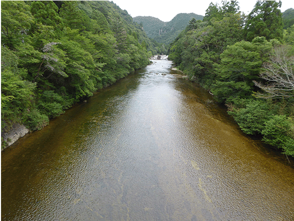 板敷川|上流