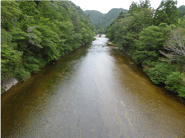 板敷川｜上流