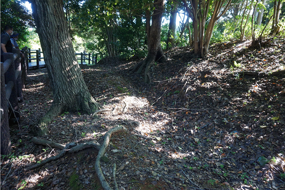 宗徳寺の地割れ跡