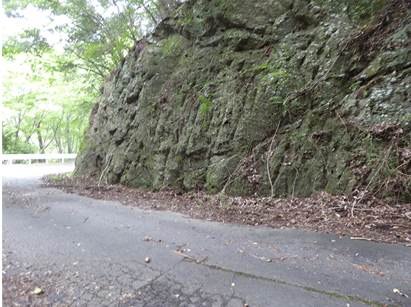 棚山の溶結凝灰岩