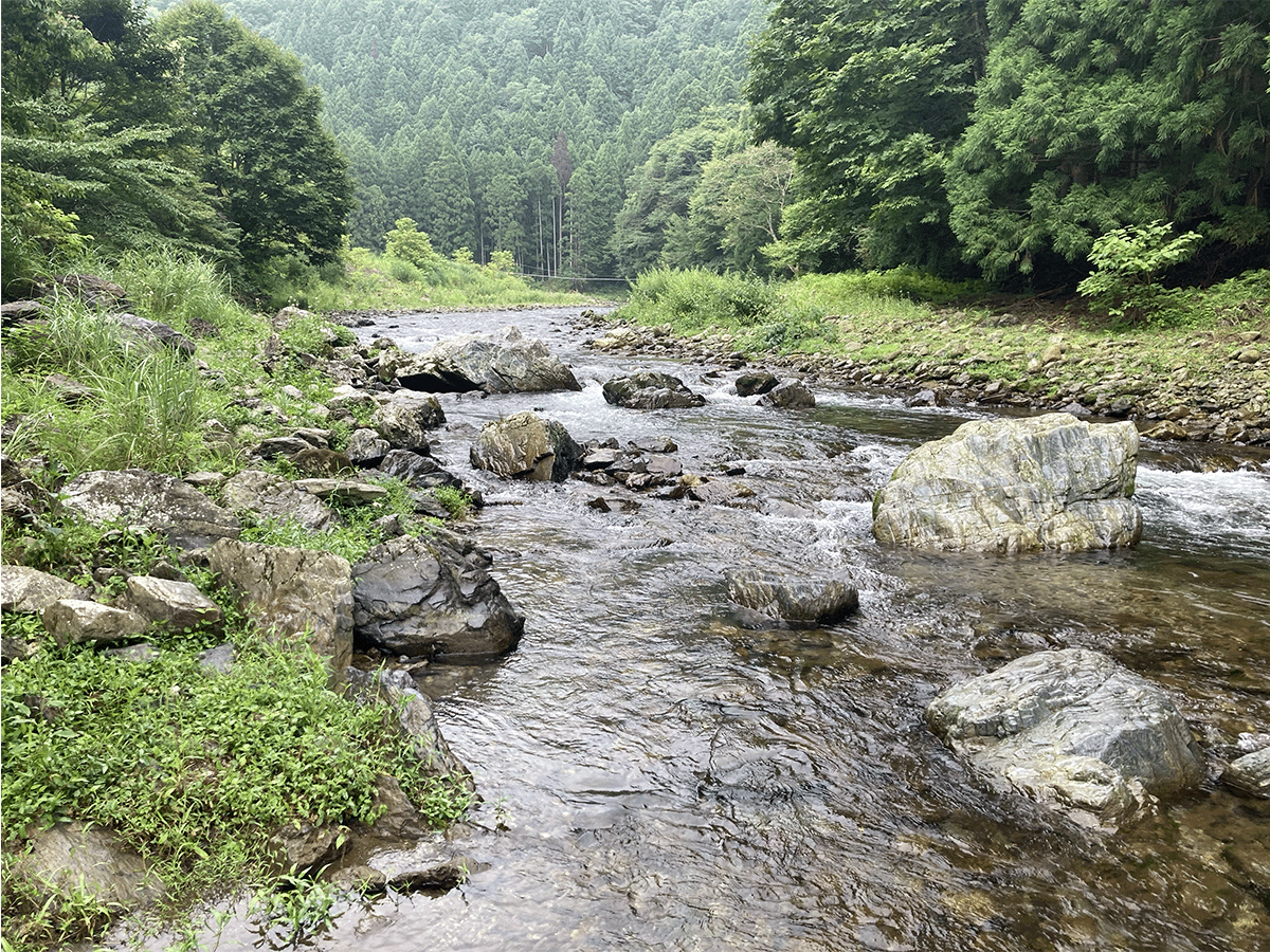 川の上流と中流の違いってなんですか?, 川の上流と下流の違いについて – ITWL