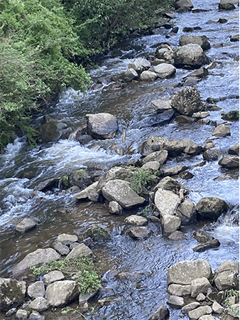 大和川｜上流