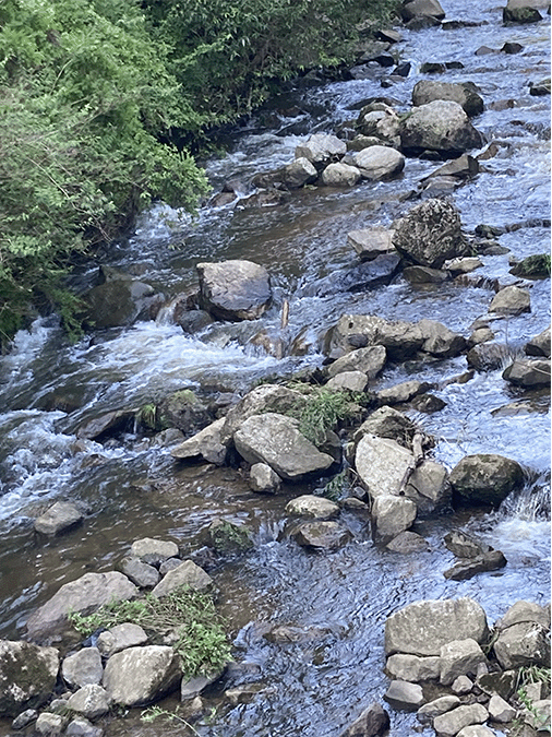 大和川|上流