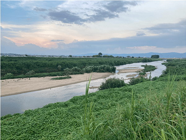 大和川|中流