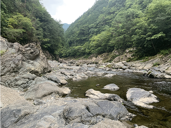 熊野川|上流