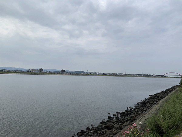 吉野川/紀の川|下流