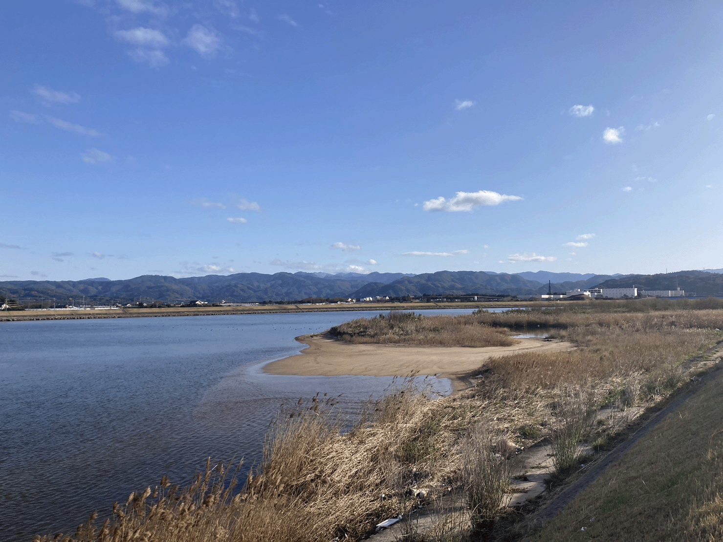 天神川｜下流