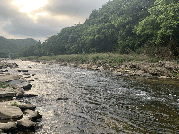 江の川|中流1