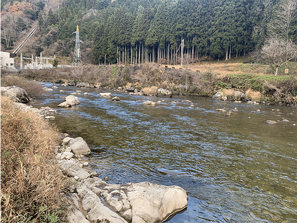 太田川｜上流