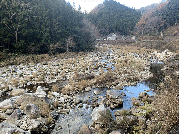 太田川｜上流その2