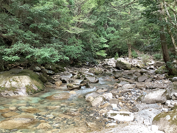 錦川｜上流