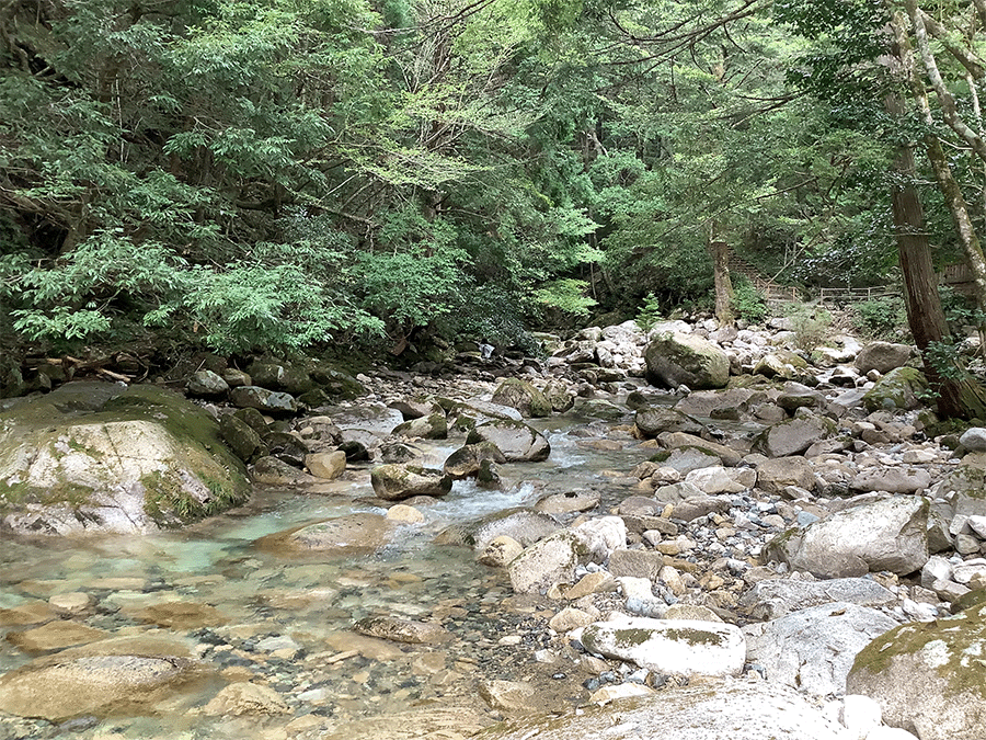 錦川|上流