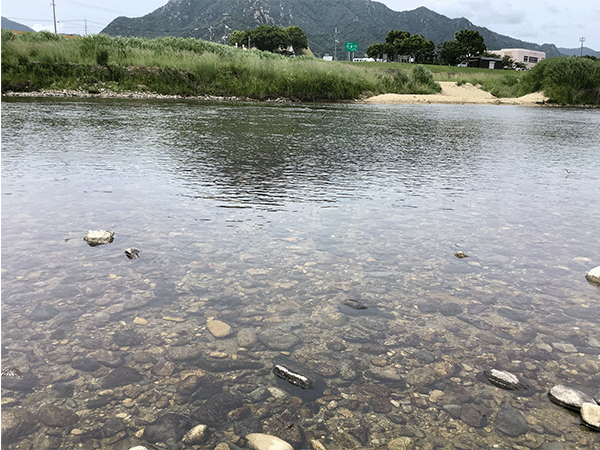 佐波川|中流