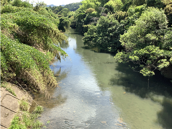 木屋川｜上流