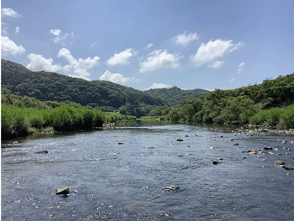 木屋川|中流