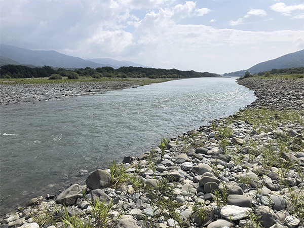吉野川|中流