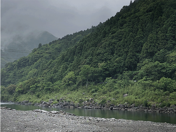 那賀川|上流