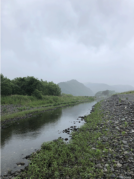 那賀川｜中流