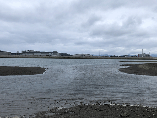 那賀川|下流