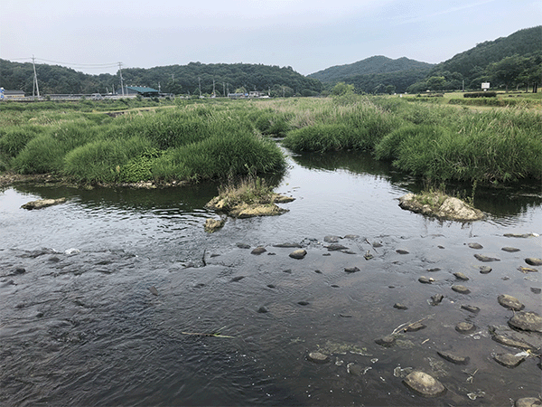 土器川｜中流