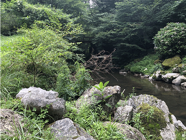 四万十川|上流