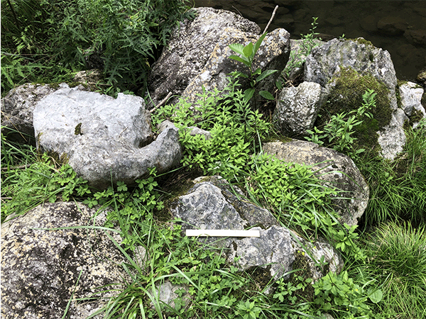 四万十川|上流その2