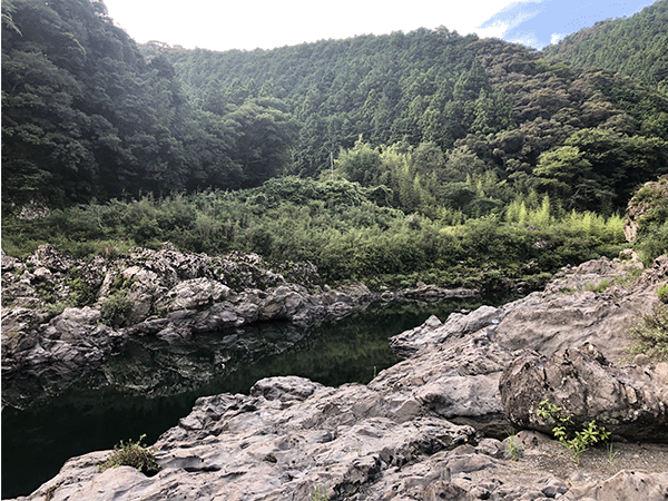 仁淀川|上流
