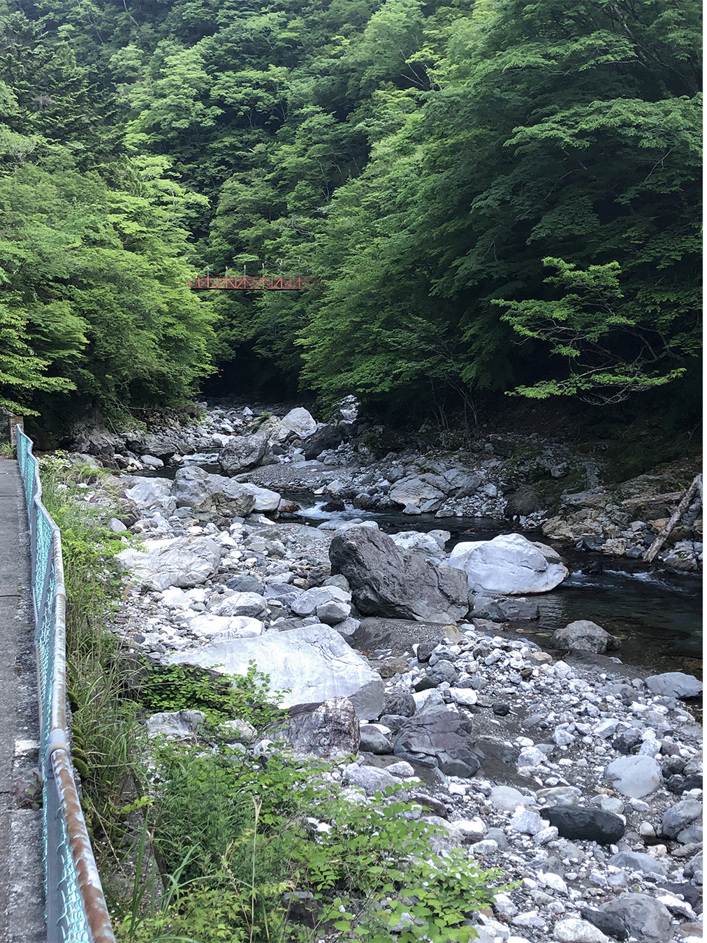 物部川|上流