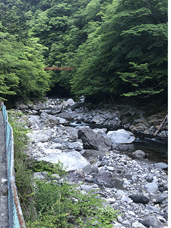 物部川｜上流