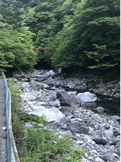 物部川|上流