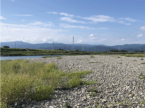 物部川|中流