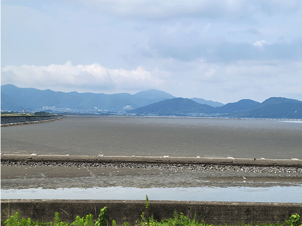 曽根干潟