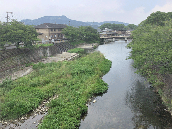 宇美川|中流