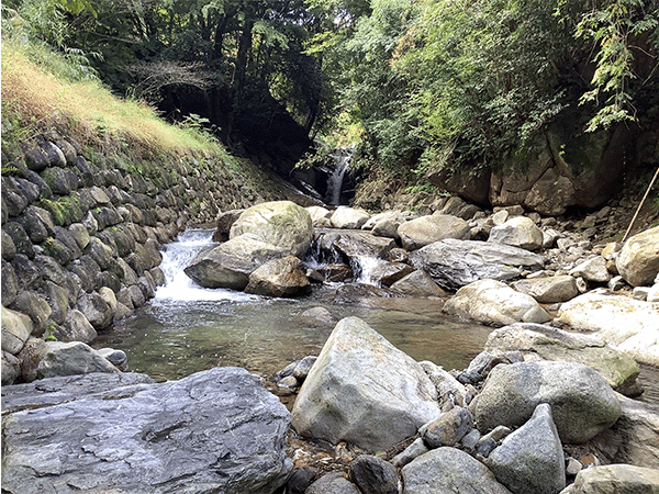 遠賀川|上流