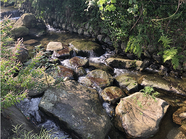 御笠川|上流